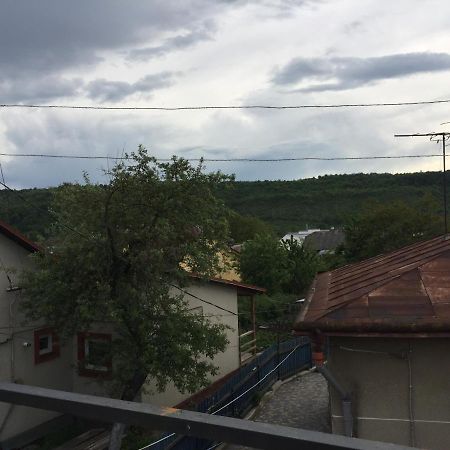 Apartamentu Hostel Zalishchyky Zewnętrze zdjęcie
